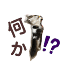 かわいいビビ♡（個別スタンプ：30）