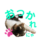 かわいいビビ♡（個別スタンプ：32）