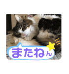 かわいいビビ♡（個別スタンプ：33）