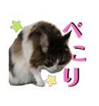 かわいいビビ♡（個別スタンプ：39）