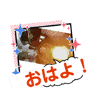 AQUA Rider/アクアライダー（個別スタンプ：3）
