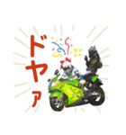 AQUA Rider/アクアライダー（個別スタンプ：17）