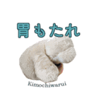 なんだか調子の悪いくまさん（個別スタンプ：9）