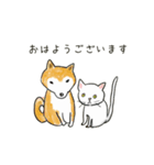 柴犬と白い猫と私（個別スタンプ：3）