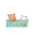 柴犬と白い猫と私（個別スタンプ：5）