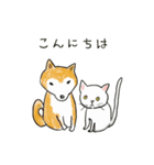 柴犬と白い猫と私（個別スタンプ：6）