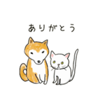 柴犬と白い猫と私（個別スタンプ：13）