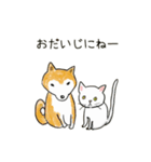 柴犬と白い猫と私（個別スタンプ：26）