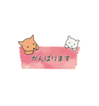 柴犬と白い猫と私（個別スタンプ：38）