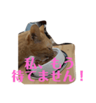 がんばれ、れもんちゃん3（個別スタンプ：3）