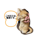 がんばれ、れもんちゃん3（個別スタンプ：4）
