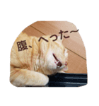 がんばれ、れもんちゃん3（個別スタンプ：7）