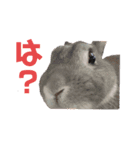 H×Y×K（個別スタンプ：9）