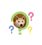 柴犬 サブロウさんとシロウちゃん（個別スタンプ：6）