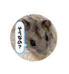 うにすた-日常編3-（個別スタンプ：1）