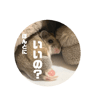 うにすた-日常編3-（個別スタンプ：4）