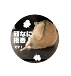 うにすた-日常編3-（個別スタンプ：5）