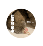 うにすた-日常編3-（個別スタンプ：6）