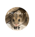 うにすた-日常編3-（個別スタンプ：8）