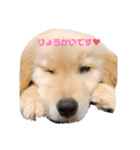 ふうすたんぷ。（個別スタンプ：1）