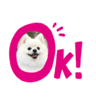 ひかる日常（個別スタンプ：1）