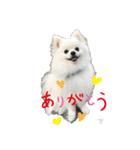 ひかる日常（個別スタンプ：2）