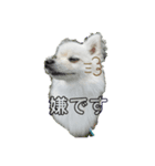 ひかる日常（個別スタンプ：7）