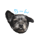 ジャックのおっつとミックスのくうた（個別スタンプ：16）