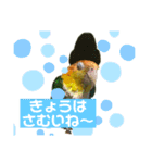 グリ、たまにタロウ（個別スタンプ：1）
