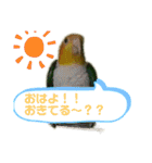 グリ、たまにタロウ（個別スタンプ：6）