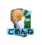 グリ、たまにタロウ（個別スタンプ：9）