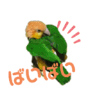 グリ、たまにタロウ（個別スタンプ：10）