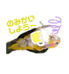 グリ、たまにタロウ（個別スタンプ：12）