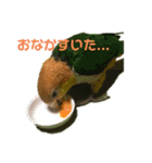 グリ、たまにタロウ（個別スタンプ：14）