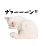 チムLINEスタンプ 2（個別スタンプ：39）