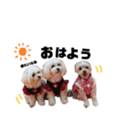 いちご組のみんな（個別スタンプ：18）