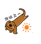 ミニチュアダックス 茶色い犬（個別スタンプ：7）