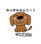 ミニチュアダックス 茶色い犬（個別スタンプ：21）