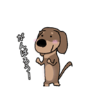 ミニチュアダックス チョコタン犬（個別スタンプ：6）