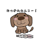 ミニチュアダックス チョコタン犬（個別スタンプ：21）