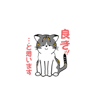 我が家の猫さんスタンプ2（個別スタンプ：2）