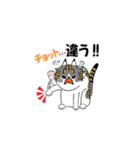 我が家の猫さんスタンプ2（個別スタンプ：11）