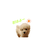 むーくん日和（個別スタンプ：1）