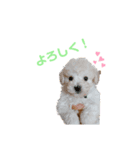 むーくん日和（個別スタンプ：2）