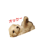 むーくん日和（個別スタンプ：8）