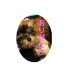 ミカリンスタンプ♪（個別スタンプ：5）