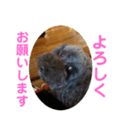 ミカリンスタンプ♪（個別スタンプ：6）