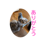 ミカリンスタンプ♪（個別スタンプ：8）