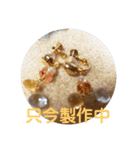 ミカリンスタンプ♪（個別スタンプ：9）