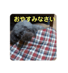 ミカリンスタンプ♪（個別スタンプ：15）